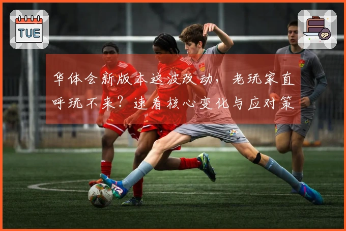华体会新版本这波改动，老玩家直呼玩不来？速看核心变化与应对策略！