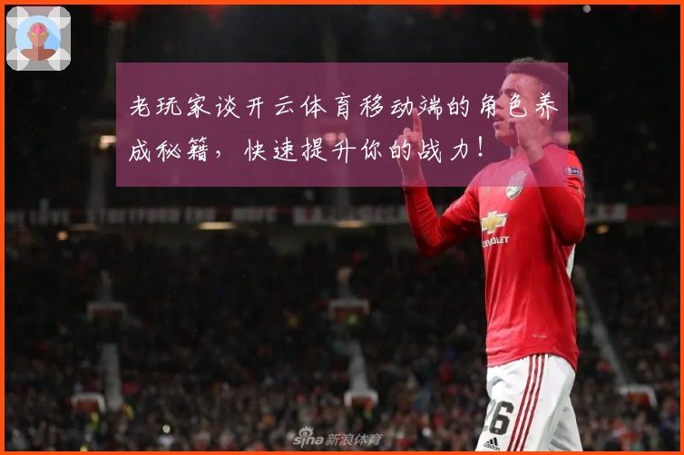 老玩家谈开云体育移动端的角色养成秘籍，快速提升你的战力！